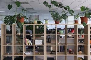 Фотография Sunshine Digital Marketing Agency 4